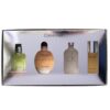 4 Piece CALVIN KLEIN MINI SET